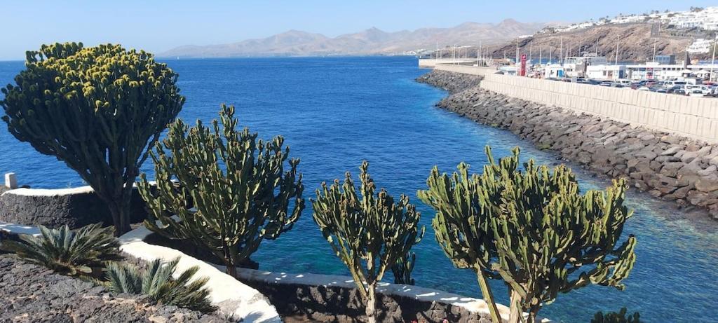 Oceanview Apartment Puerto del Carmen  Extérieur photo